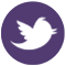 Twitter Logo